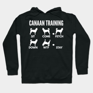 Canaan Dog Training Bedouin Sheepdog Tricks Hoodie